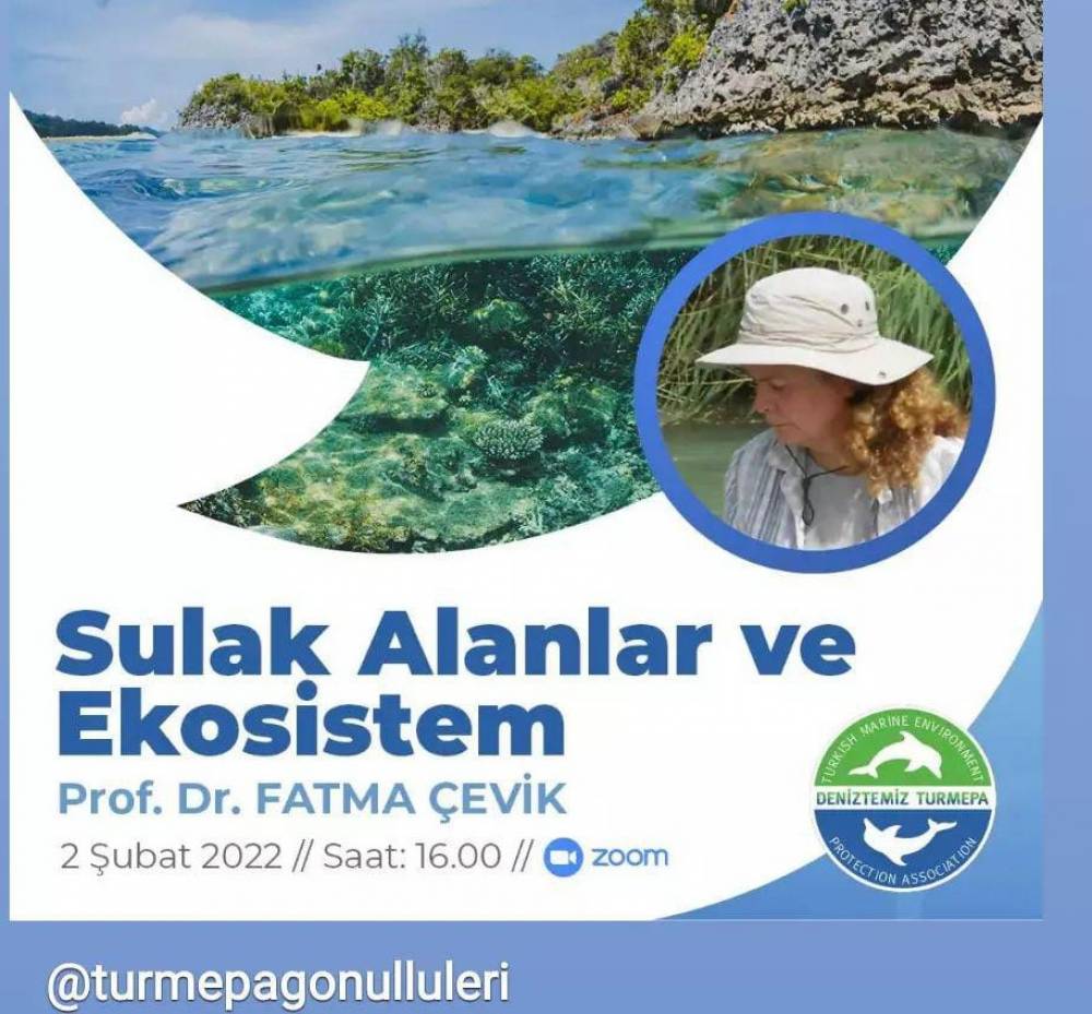 Sulak Alanlar ve Ekosistem